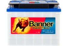 Banner Energy Bull Langzeitentladebatterie 12 V 60/50 Ah -Energie Sat Anlagen Geschaft 294105 2092718