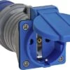 Brennenstuhl CEE Adapter 240V 16A Auf Schuko 3 Polig Grau Blau 2 Brennenstuhl CEE Adapter 240V 16A Auf Schuko 3 Polig Grau Blau -Energie Sat Anlagen Geschaft 442227 3996543