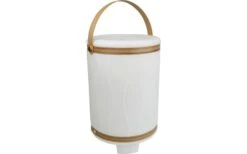 Schwaiger RGB LED Gertränkekühler Mit Bluetooth Lautsprecher Klein 2600 MAh